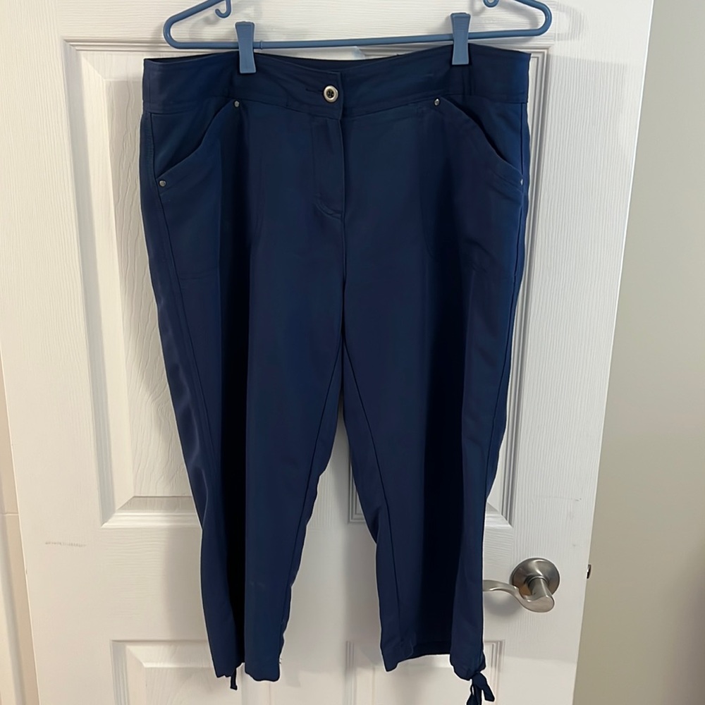 Northern Reflections Capri Pants.